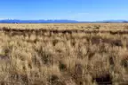 Prime San Acacio, Colorado Land with Power and Water at 7100&#x27; Elevation Lot 5