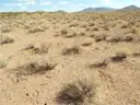 Secluded Quarter Acre Northern Arizona Lot with Road Frontage and Mountain Views - Lot 5512