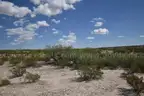 Gorgeous 10.5-Acre Parcel Near El Paso with McGuyers Rd Access, 5A