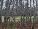 Luxe 0.73 Acre Garland Woodlands Property Near Golf Course &#x26; World-Class Amenities