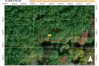 Tranquil 0.14 Acre Wooded Lot near Lower Scott Lake in Allegan, Michigan