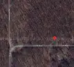 Tranquil 0.14 Acre Wooded Lot near Lower Scott Lake in Allegan, Michigan