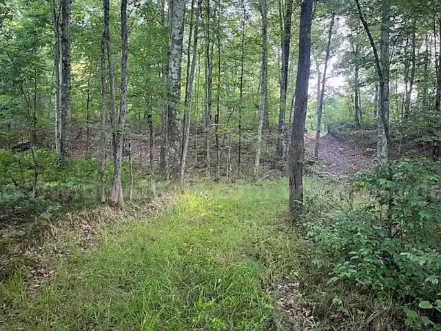 Tranquil 0.14 Acre Wooded Lot near Lower Scott Lake in Allegan, Michigan