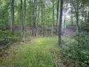 Tranquil 0.14 Acre Wooded Lot near Lower Scott Lake in Allegan, Michigan