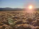 Picturesque 6-Acre Costilla County Property with Power and Road Access in San Luis, Colorado