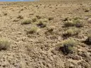 Picturesque 6-Acre Costilla County Property with Power and Road Access in San Luis, Colorado