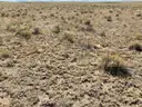 Astonishing 5-Acre Costilla County Property with Power and Road Access in San Luis, Colorado