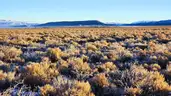 Fabulous 5-Acre Costilla County Property with Power and Road Access in San Luis, Colorado