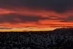 Promising 5-Acre Costilla County Property with Power and Road Access in San Luis, Colorado