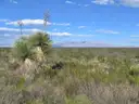Scenic 10.39-Acre Ranch Parcel Near Dell City, Texas with Road Access, 10C