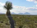 Scenic 10.39-Acre Ranch Parcel Near Dell City, Texas with Road Access, 10C