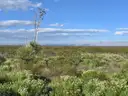 Wonderful 10.39-Acre Ranch Parcel Near Dell City, Texas with Road Access, 10D