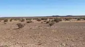 Fantastic 10.39-Acre Ranch Parcel Near Dell City, Texas with Road Access, 10E