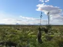 Fantastic 10.39-Acre Ranch Parcel Near Dell City, Texas with Road Access, 10E