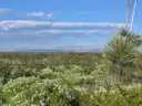 Fantastic 10.39-Acre Ranch Parcel Near Dell City, Texas with Road Access, 10E