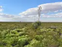Fantastic 10.39-Acre Ranch Parcel Near Dell City, Texas with Road Access, 10E