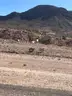Fabulous 10.001-Acre Sierra Blanca Ranch Off Paved Road FM 1111 w/Power &#x26; Road Frontage, 2B