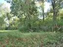 Beautiful Gulfport Land Opportunity Corner Wooded Lot