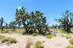 NO RESERVE Valle Vista Mohave Arizona 0.21 Acre Corner Lot 5636
