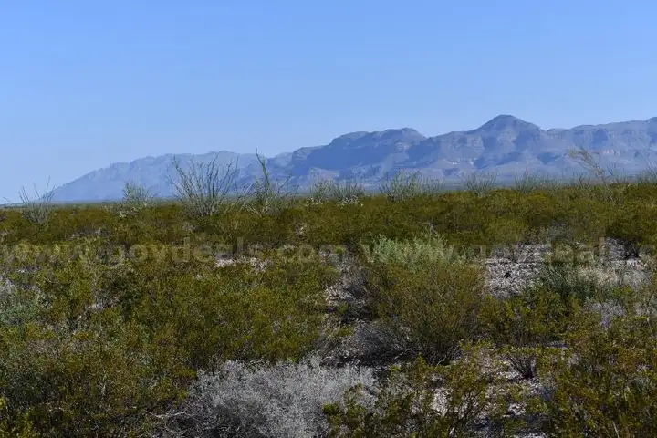 UNRESTRICTED 10-Acre Northwest Corner: High-Desert Views & Off-Grid Freedom