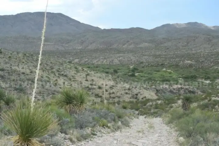 MAJESTIC 10-Acre Northeast Corner: Sunrise Peaks & High-Desert Serenity!