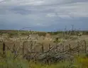 Scenic Subdivision La Hacienda Estates 4.9 Acre Texas Homesite w/Roads &#x26; Power Lots 751 and 752
