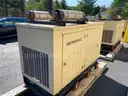 Generac Generator and Transfer Switch (Natural Gas Powered)