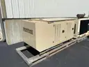 Generac Generator and Transfer Switch (Natural Gas Powered)