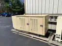 Generac Generator and Transfer Switch (Natural Gas Powered)