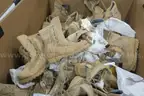 LOT OF ARMY/WORK BOOTS - NEW !
