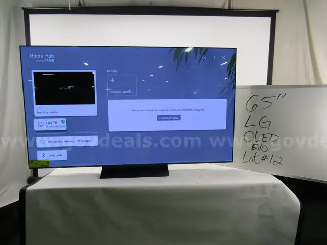 LG 65in OLED TELEVISION