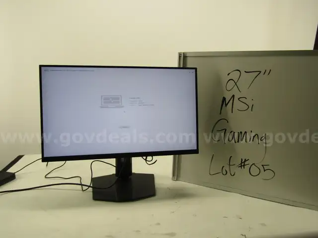 27in MSI GAMING MONITOR