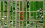 5 Lots (Total 0.80 Acres) in Standard City, IL (Central Illinois)