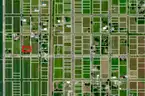 Large 100 X 138 Sq ft Residential Lot in Standard City, IL  (South of Springfiled)
