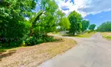 Large Two Residential Lot (0.28 Acres) in Standard City, IL (South of Springfield, IL)