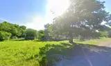 ($1-Bid) (No Reserve) City Lots about 2.9 Miles from Downtown St. Louis
