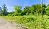 4-adjacent City Lots about 3.7 Miles from Downtown St. Louis