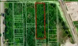 (1.56 Acres) 21-Adjacent City-Lots about 6.9 Miles from Downtown St. Louis