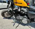 2019 Harley-Davidson XL1200X