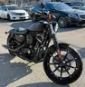 2020 Harley-Davidson XL883N
