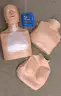 Lot of WorldPoint CPR Taylor Feedback Manikins