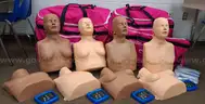 Lot of WorldPoint CPR Taylor Feedback Manikins