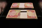 Lot of Foreign Currency