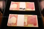 Lot of Foreign Currency