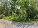 Residential Lot in Front Royal, VA
