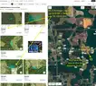 1.25 Acre Polk County, Florida No Reserve