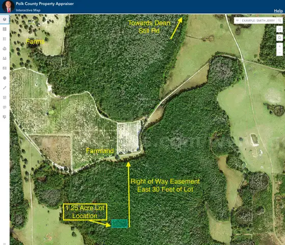 1.25 Acre Polk County, Florida No Reserve