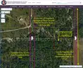1.25 Acre Osceola County, Florida No Reserve!
