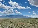 40 Acre Lot Elko County, Nevada