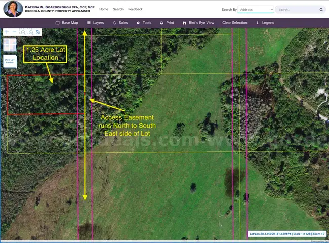 1.25 Acre Osceola County, Florida No Reserve!